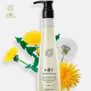 Small Pukong - Dandelion Revitalizing Shampoo Multi-Effect Shampoo
